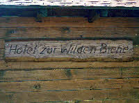 tmb_wilde_biene1