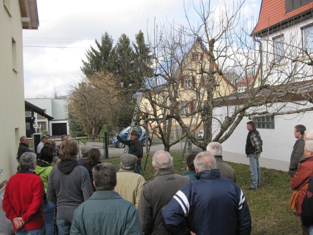Schnittkurs Wannweil 006