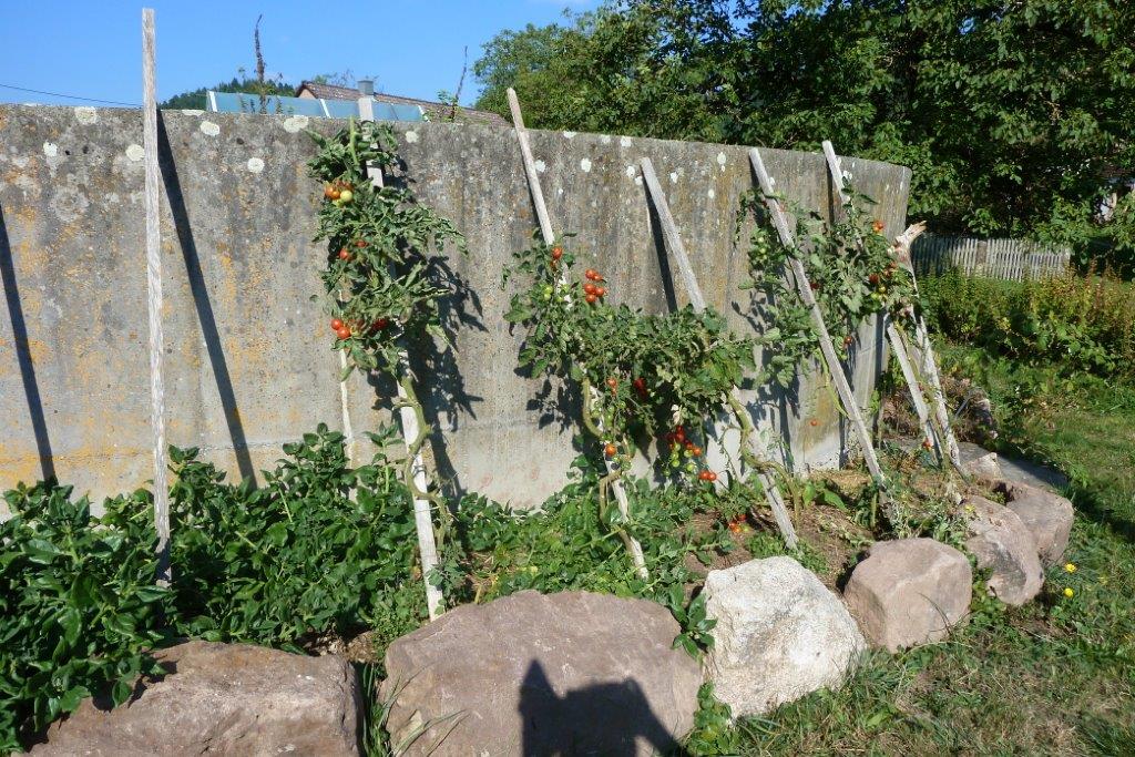 OGV Vereinsausflug Sept. 2016 054