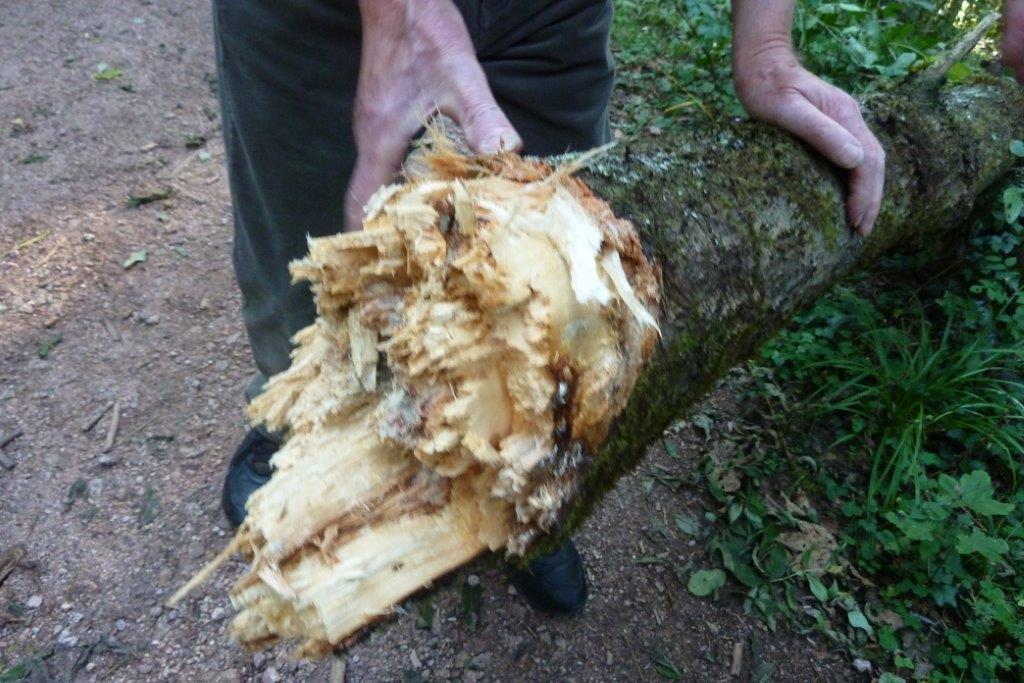 OGV Vereinsausflug Sept. 2016 058