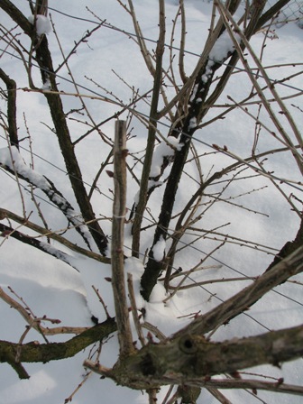 image013